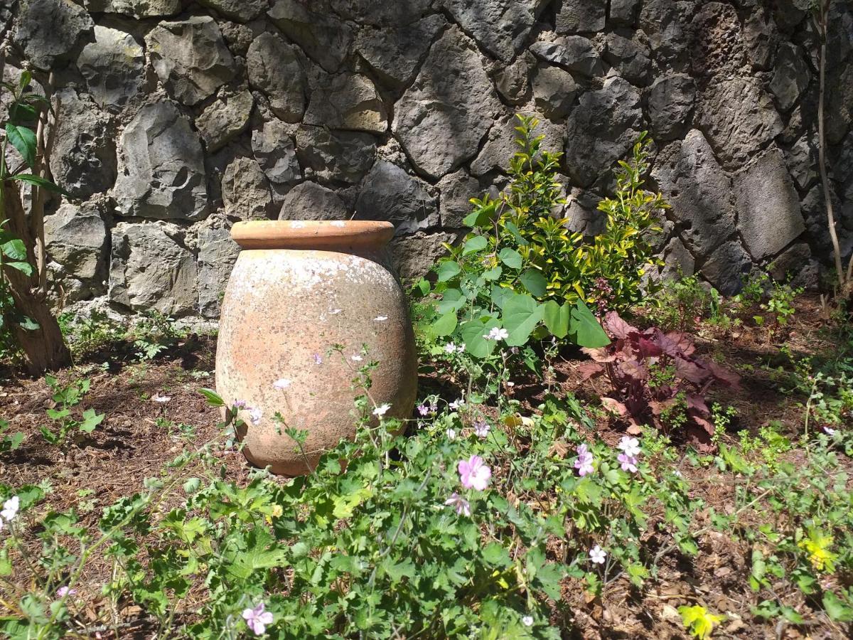 Le Jardin Secret Bed & Breakfast Saint-Antonin Exterior foto